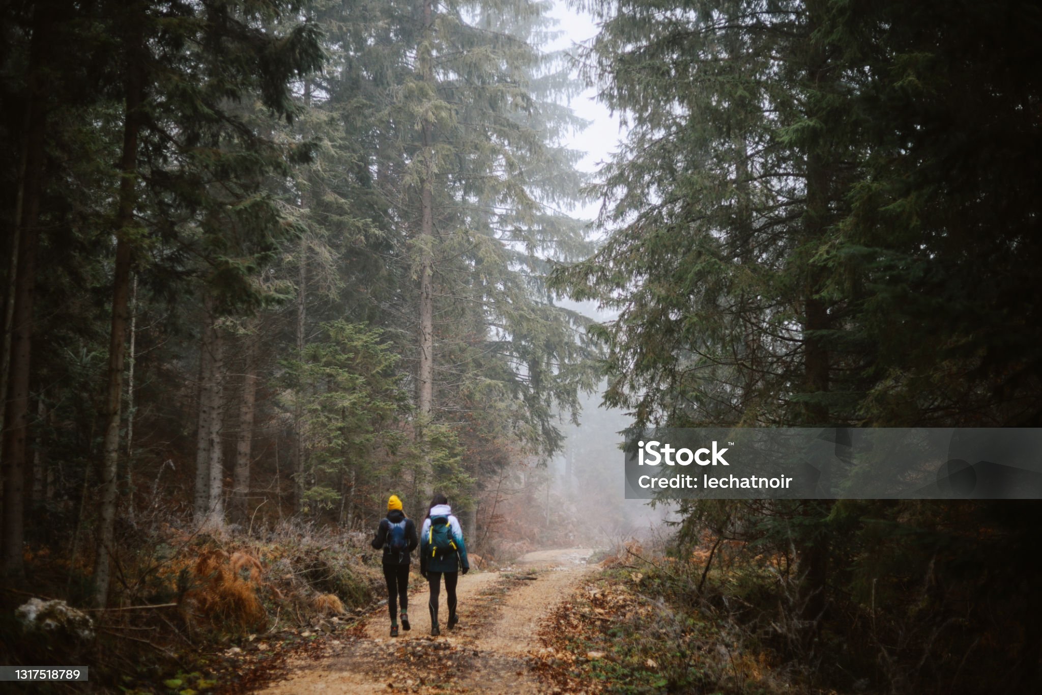 Women hiking through the forest. They are enjoying the beautiful nature and being in the outdoors during the pandemic in the cities.